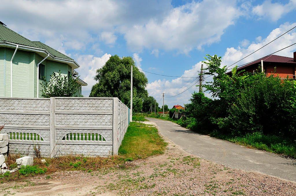 Вишеньки з panoramio.com - Вишенки