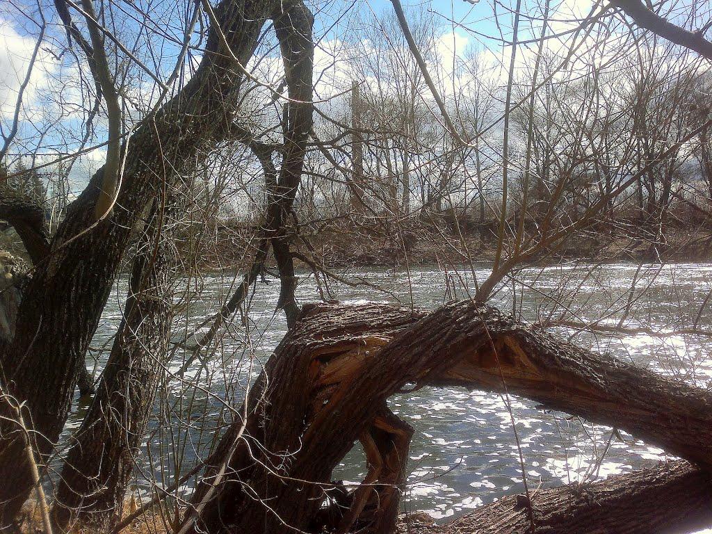 Низи з panoramio.com - Низы