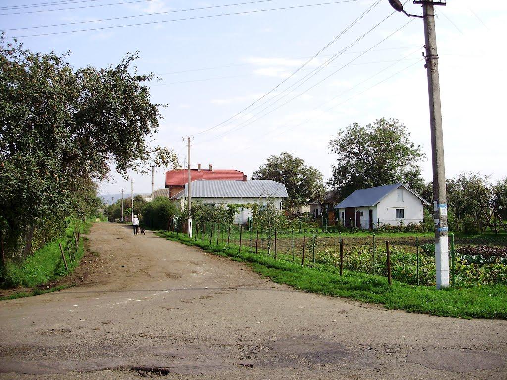 Черниця з panoramio.com - Черниця