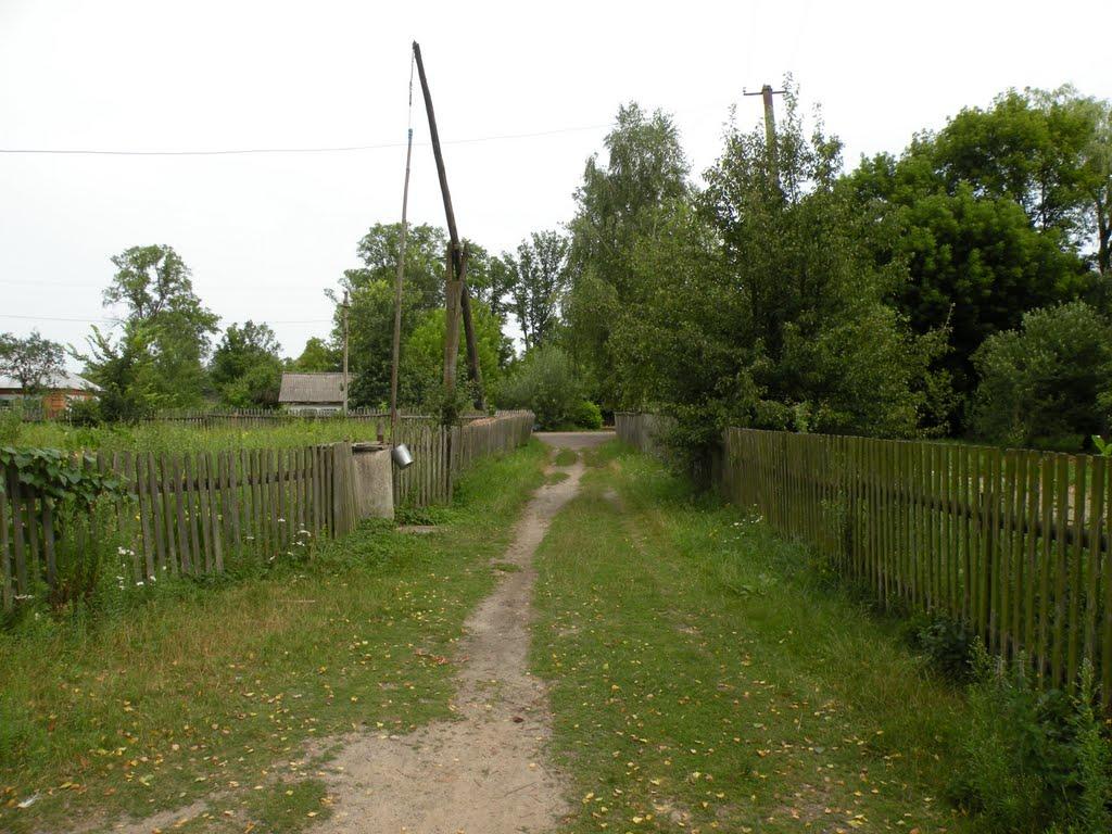 Васьковичі з panoramio.com - Васьковичи