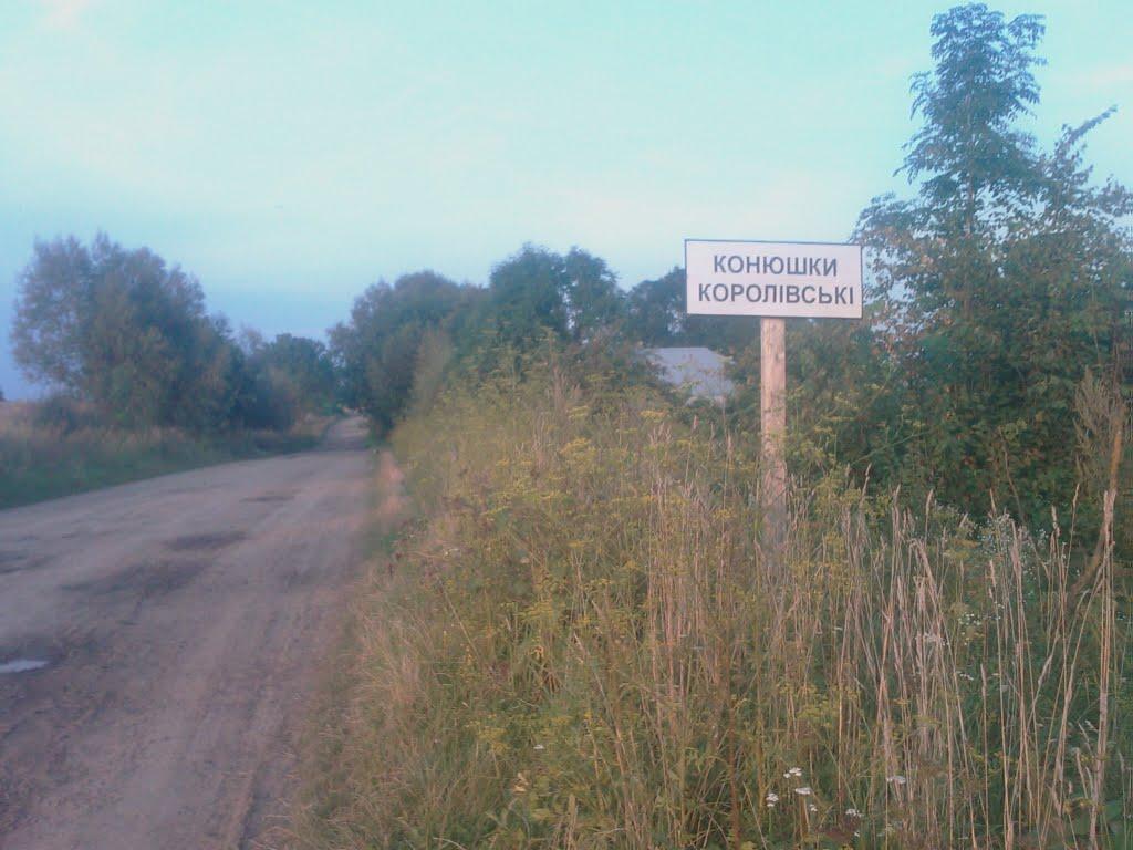 Конюшки-Королівські з panoramio.com - Конюшки-Королівські