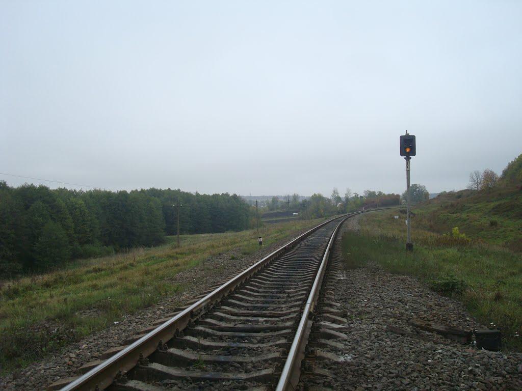 Малиничі з panoramio.com - Малиничі