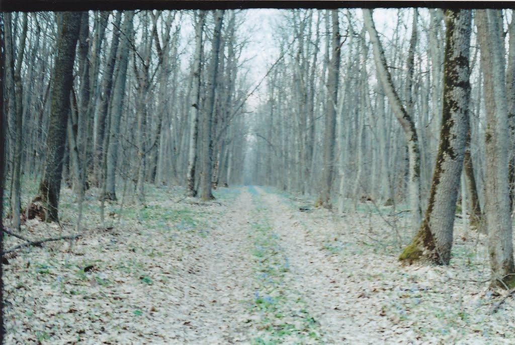 Малі Проходи з panoramio.com