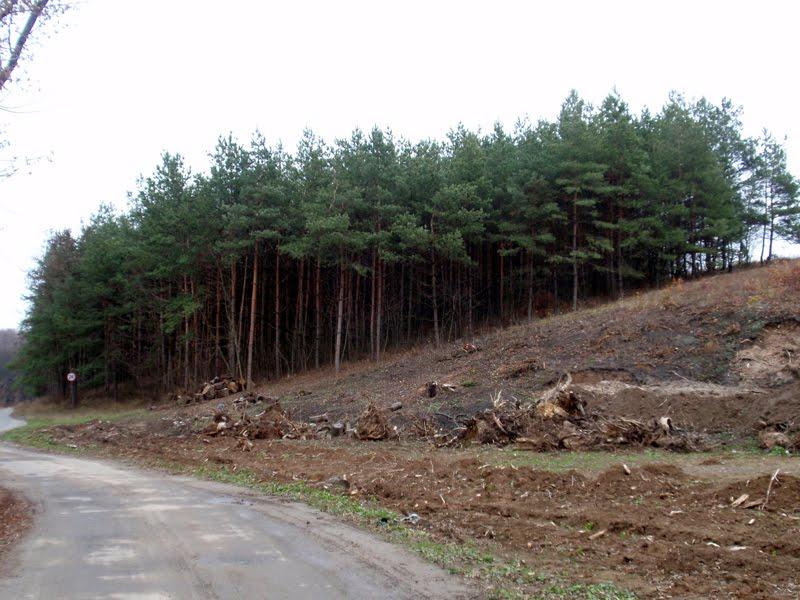 Ріжки з panoramio.com - Ріжки