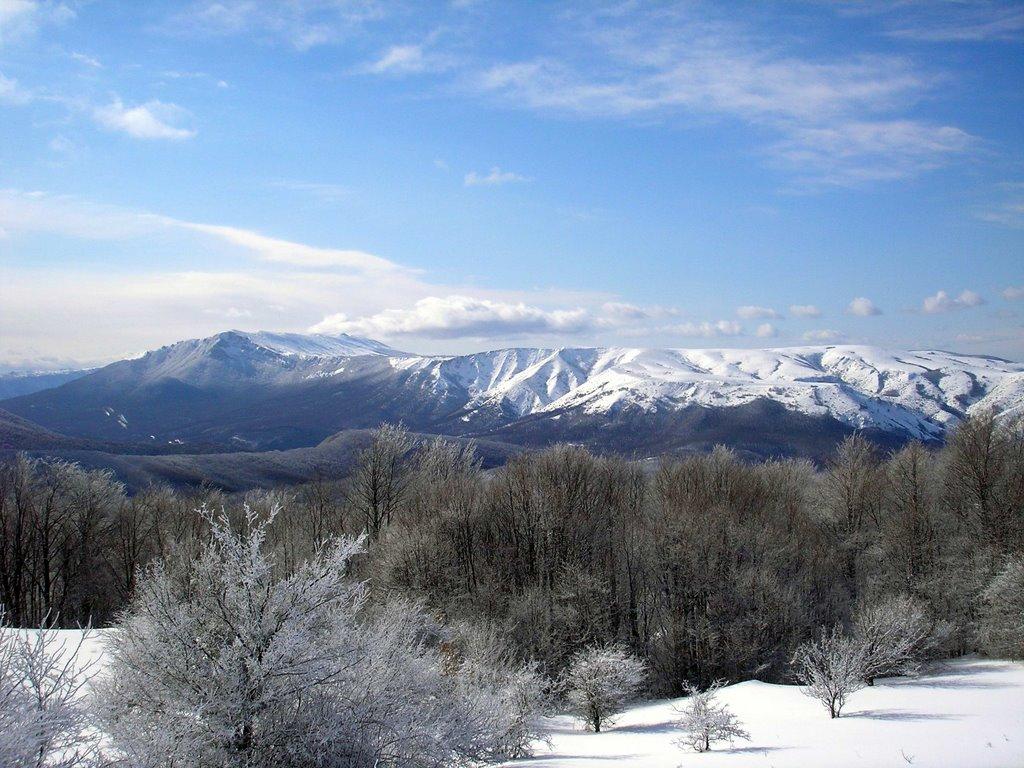 Чайковське з panoramio.com (ч.2) - Чайковское