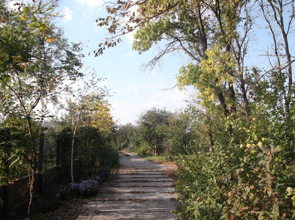 Хащеве з panoramio.com - Хащеве