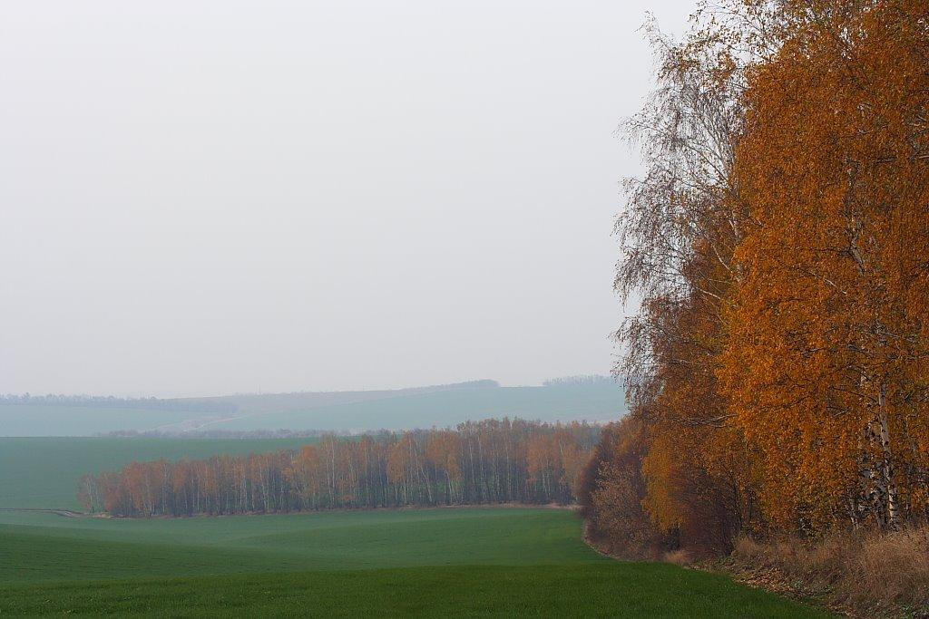 Лещенки з panoramio.com - Лещенки