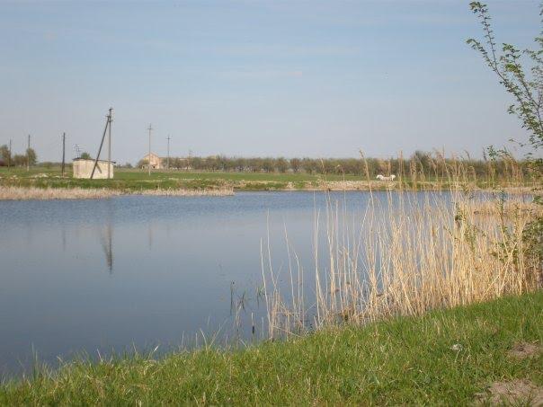 Новаки з panoramio.com - Новаки