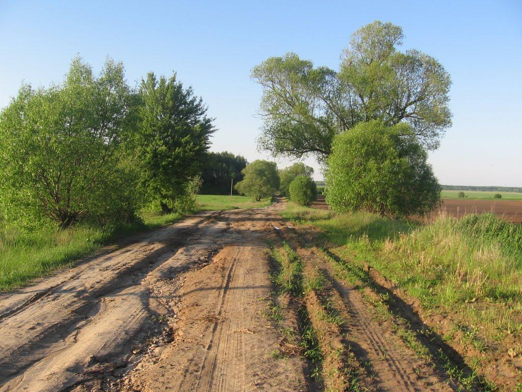 Товстоліс з panoramio.com - Толстолес