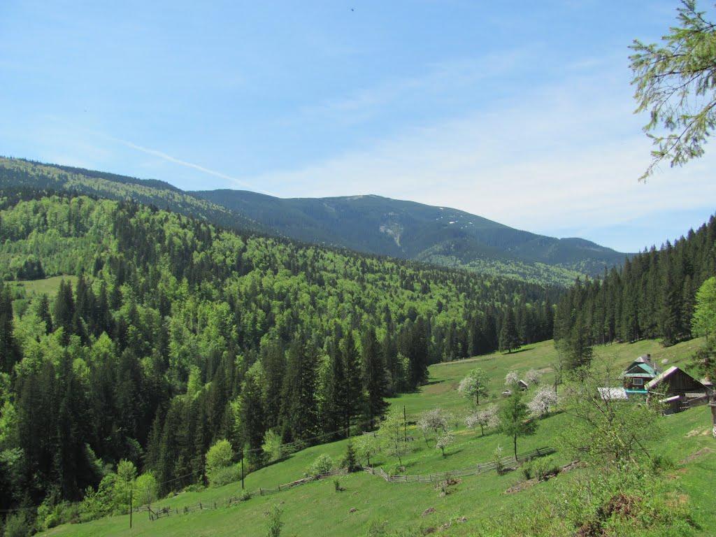 Татарів з panoramio.com - Татаров