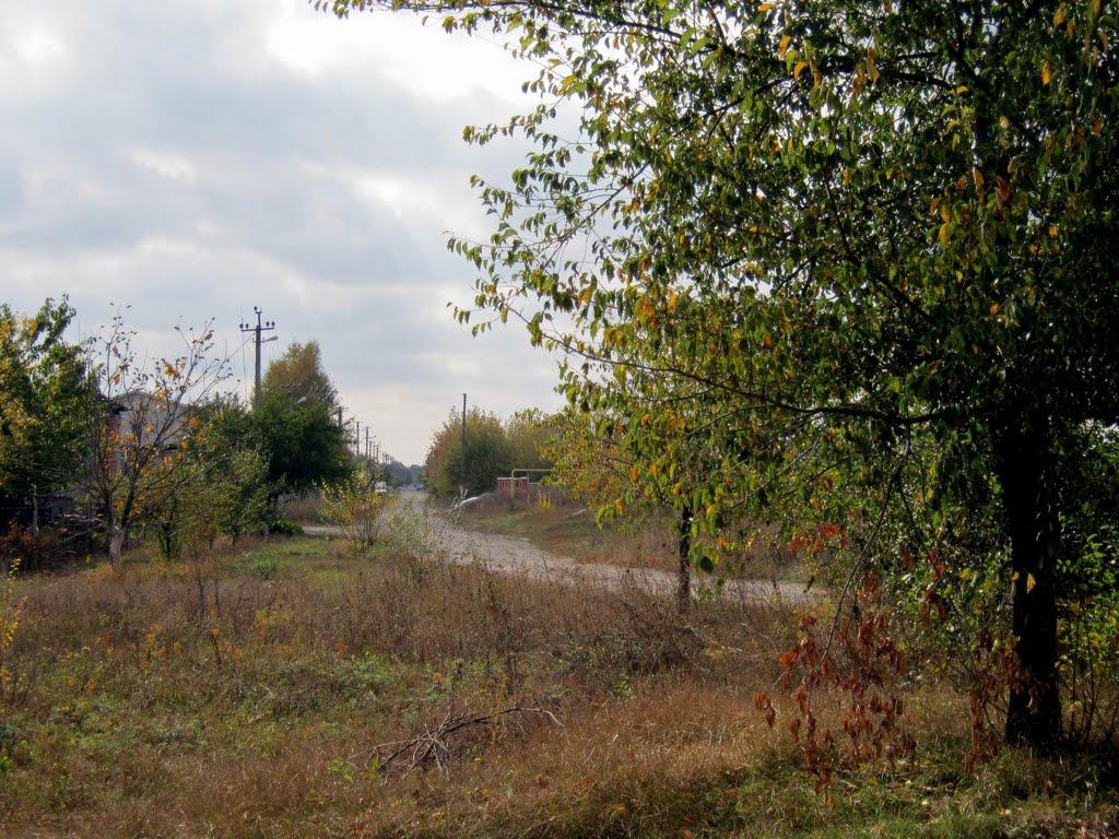 Червоні Поди з panoramio.com - Червоні Поди