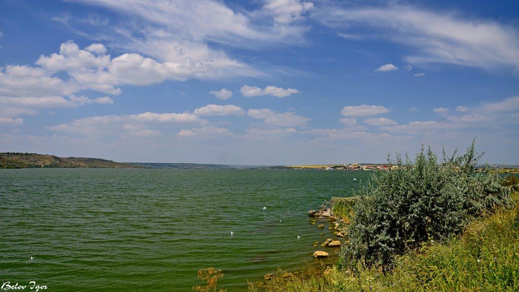 Алтестове з panoramio.com - Алтестово