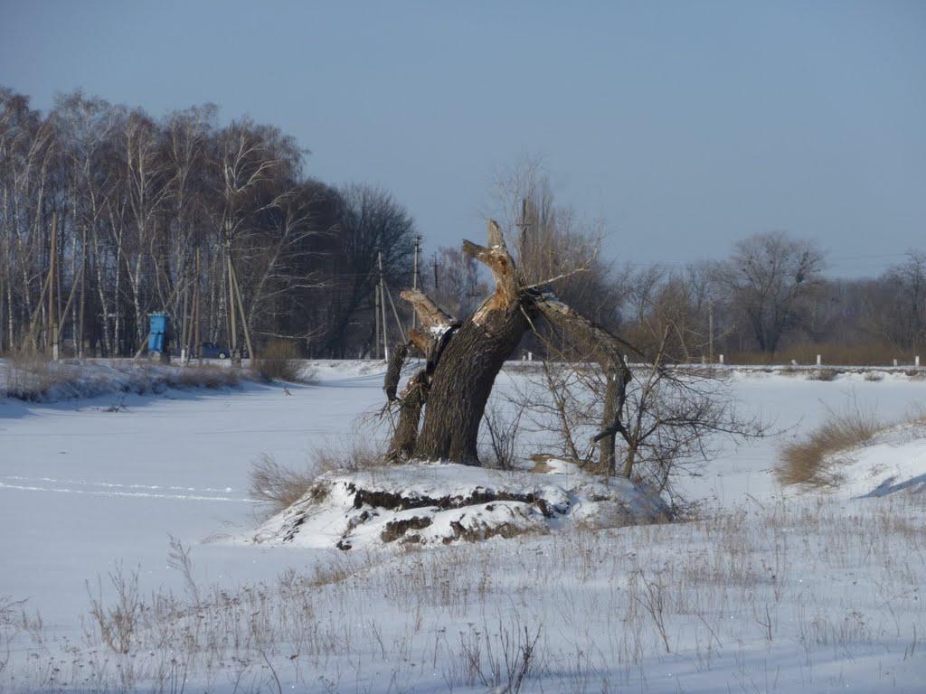 Іванчуківка з panoramio.com - Іванчуківка