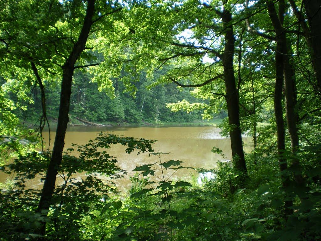 Доброславівка з panoramio.com - Доброславівка