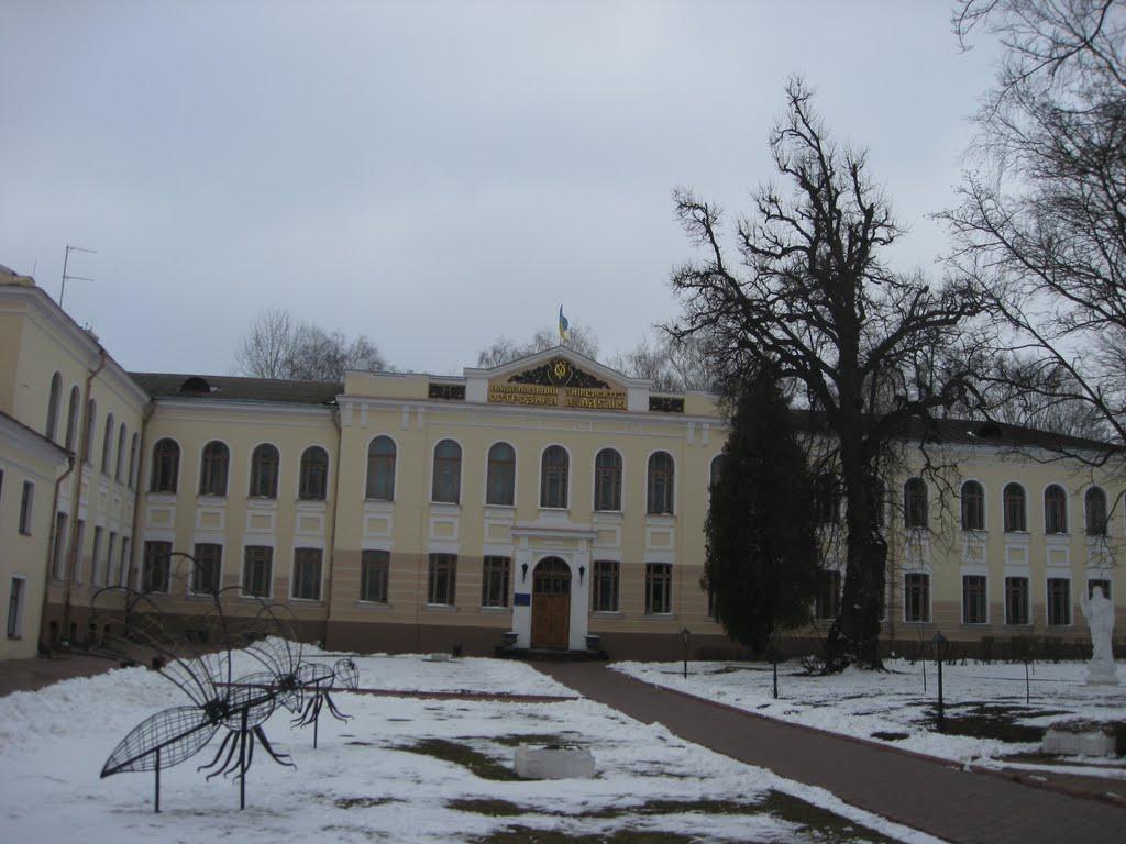 Острог з panoramio.com - Острог