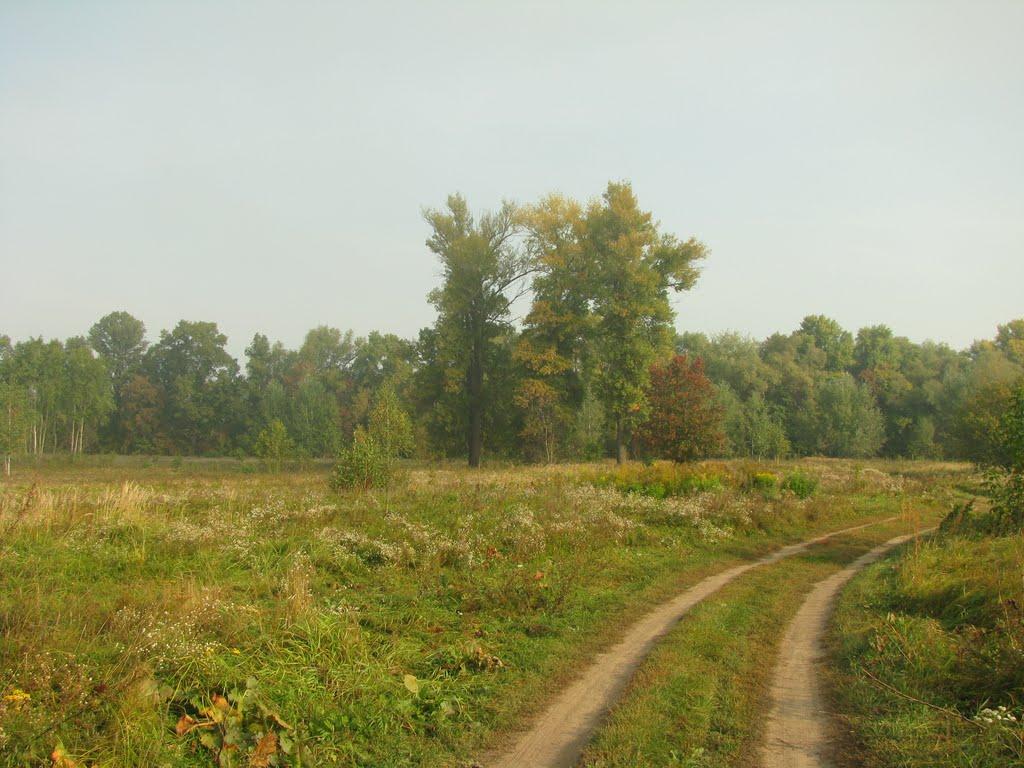 Осещина з panoramio.com - Осещина