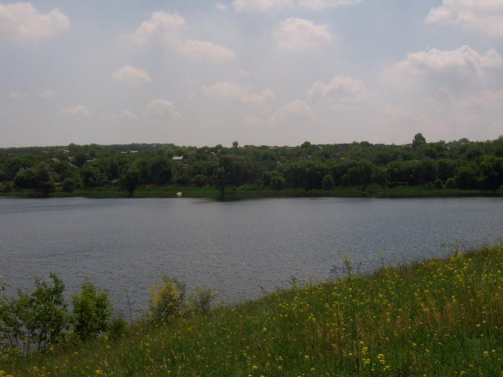 Вільноандріївка з panoramio.com - Вільноандріївка