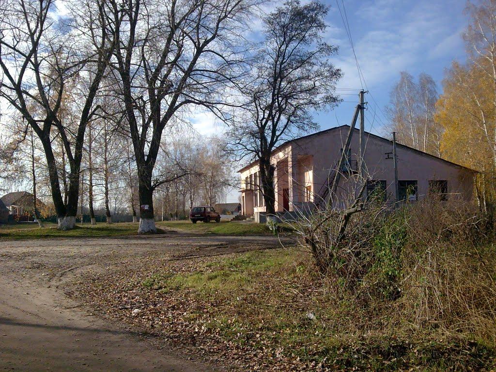 Вахнівка з panoramio.com