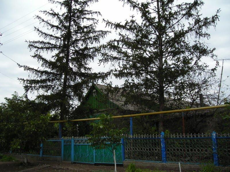 Олександрівка з panoramio.com - Олександрівка