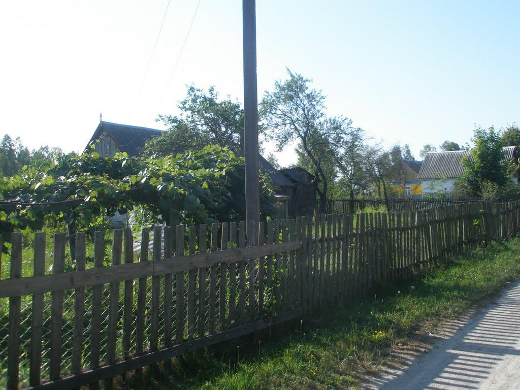 Ушиця з panoramio.com - Ушица