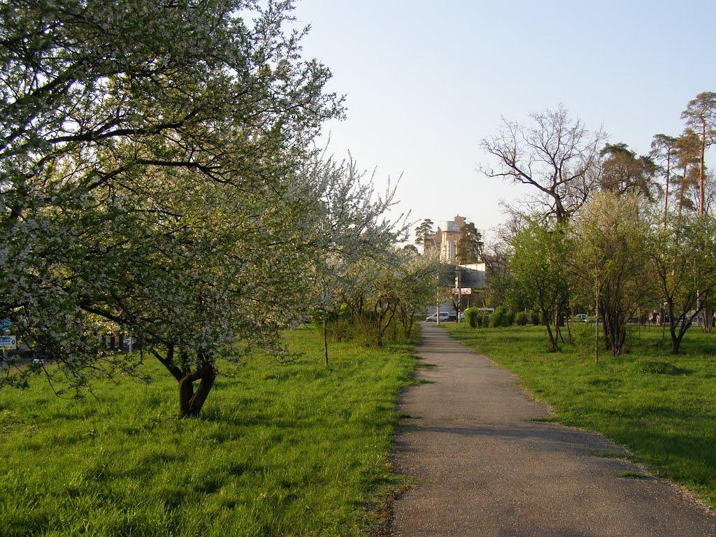 Петропавлівська Борщагівк з panoramio.com - Петропавловская Борщаговк