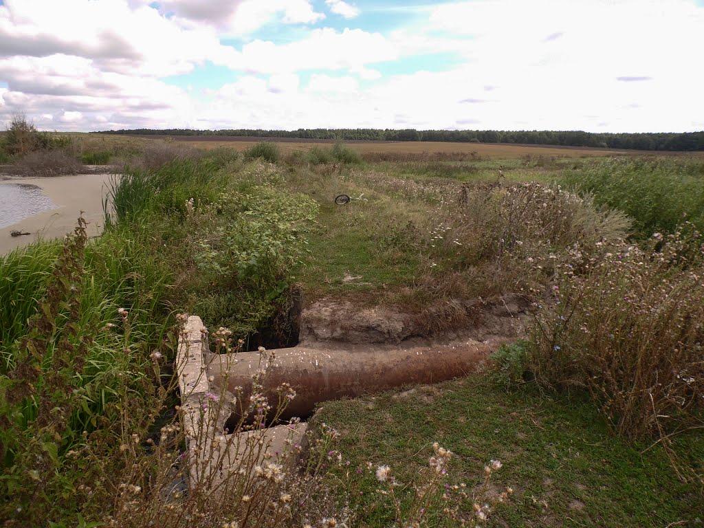 Рогачі з panoramio.com - Рогачі