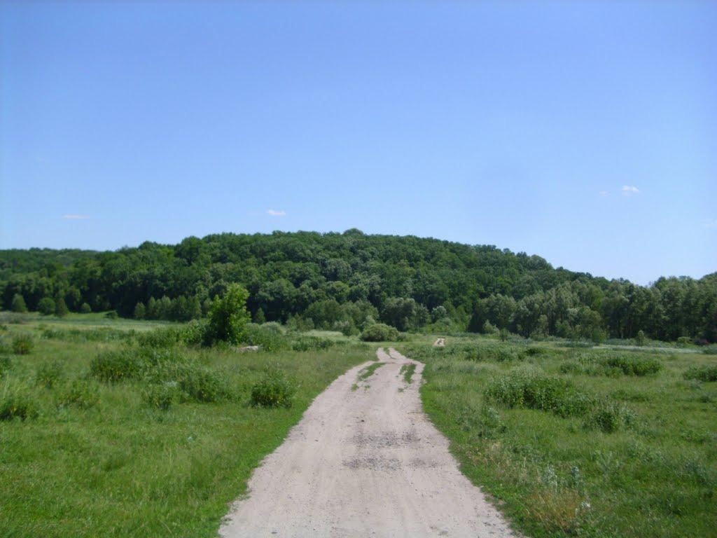 Велика Гомільша з panoramio.com - Велика Гомільша