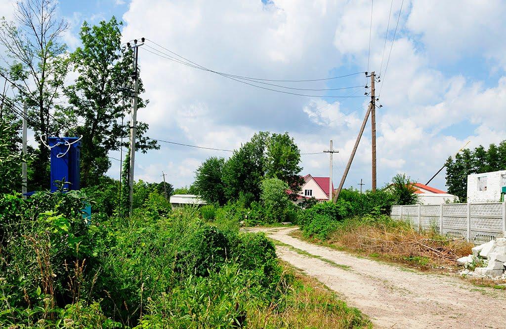 Вишеньки з panoramio.com - Вишенки
