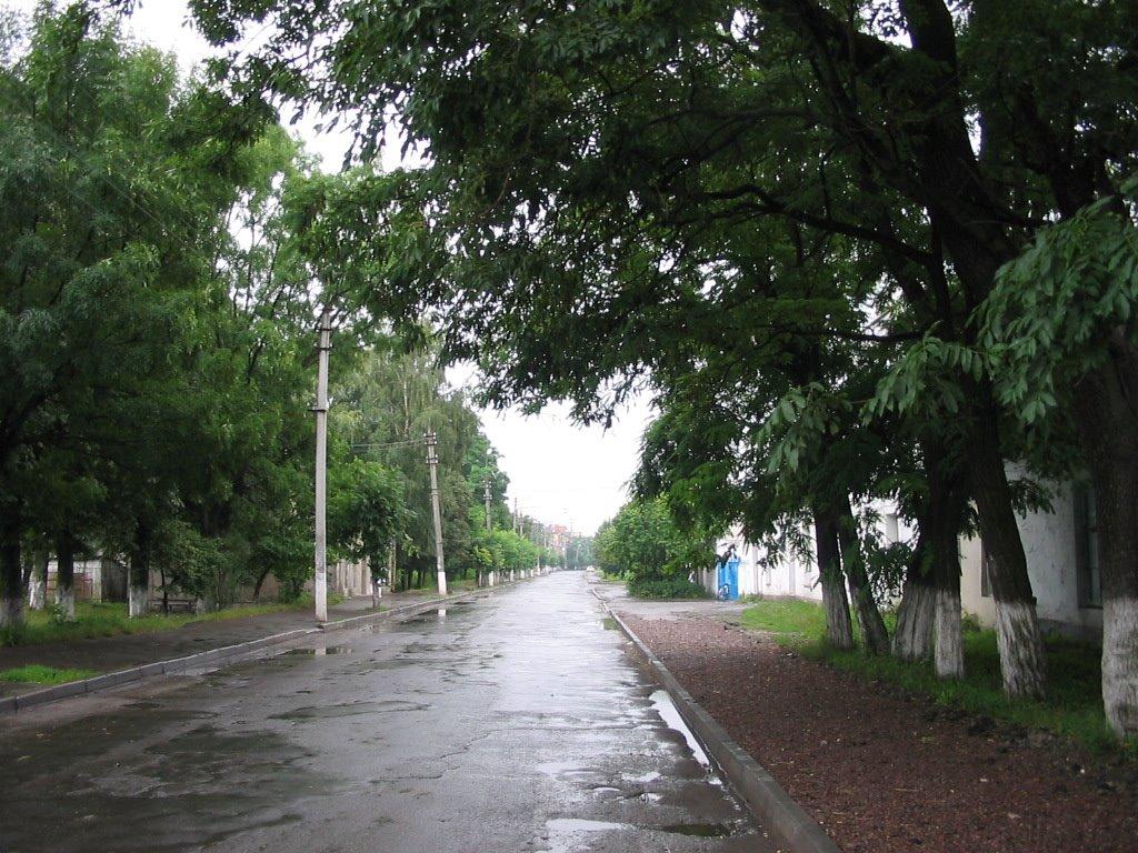 Броди з panoramio.com - Броды