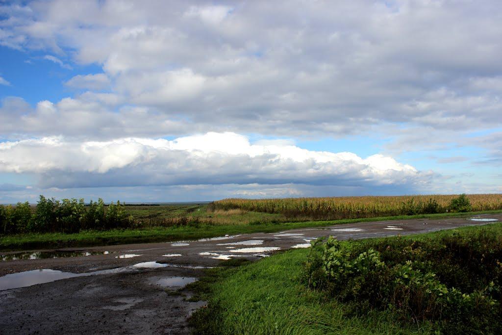 Вірівка з panoramio.com - Вірівка