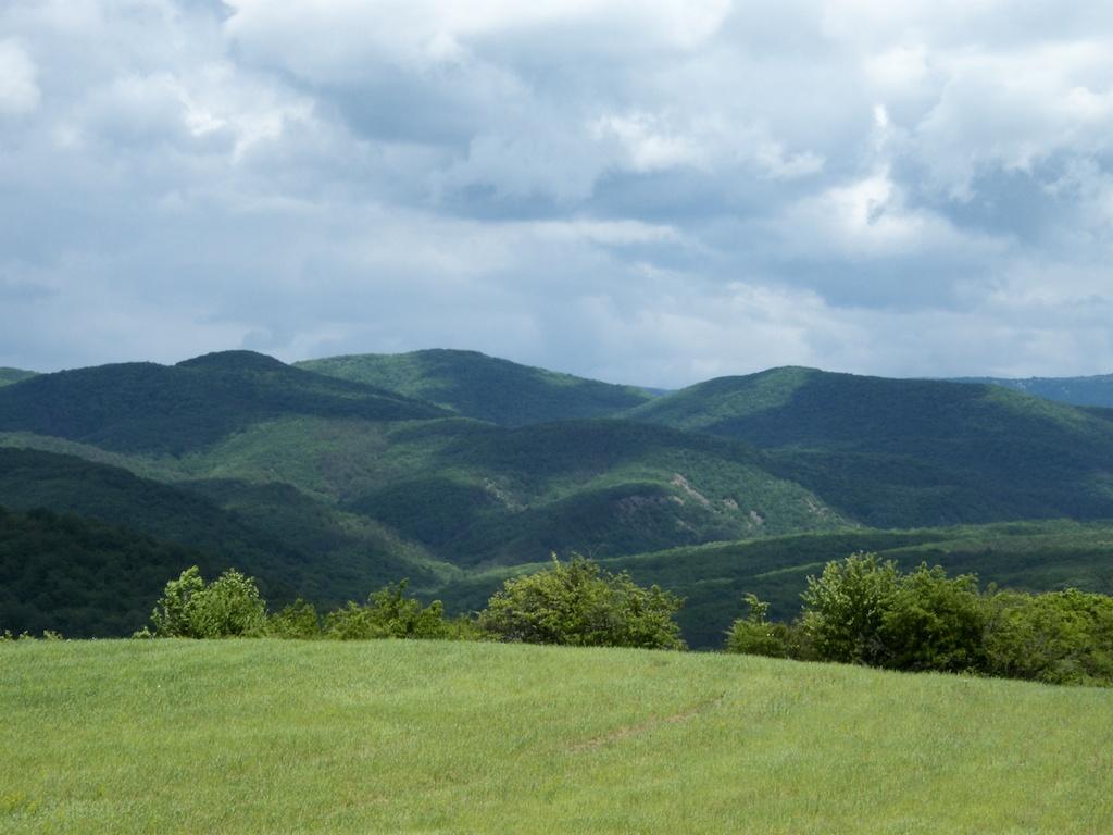 Партизанське з panoramio.com - Партизанське