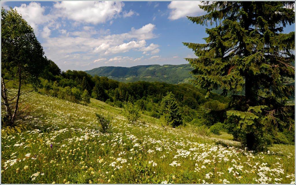 Пістинь з panoramio.com - Пістинь