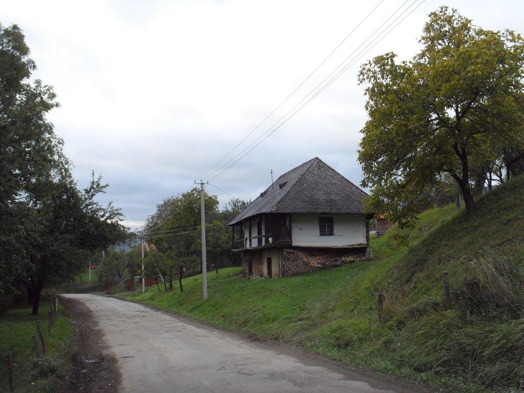 Вишка з panoramio.com - Вышка