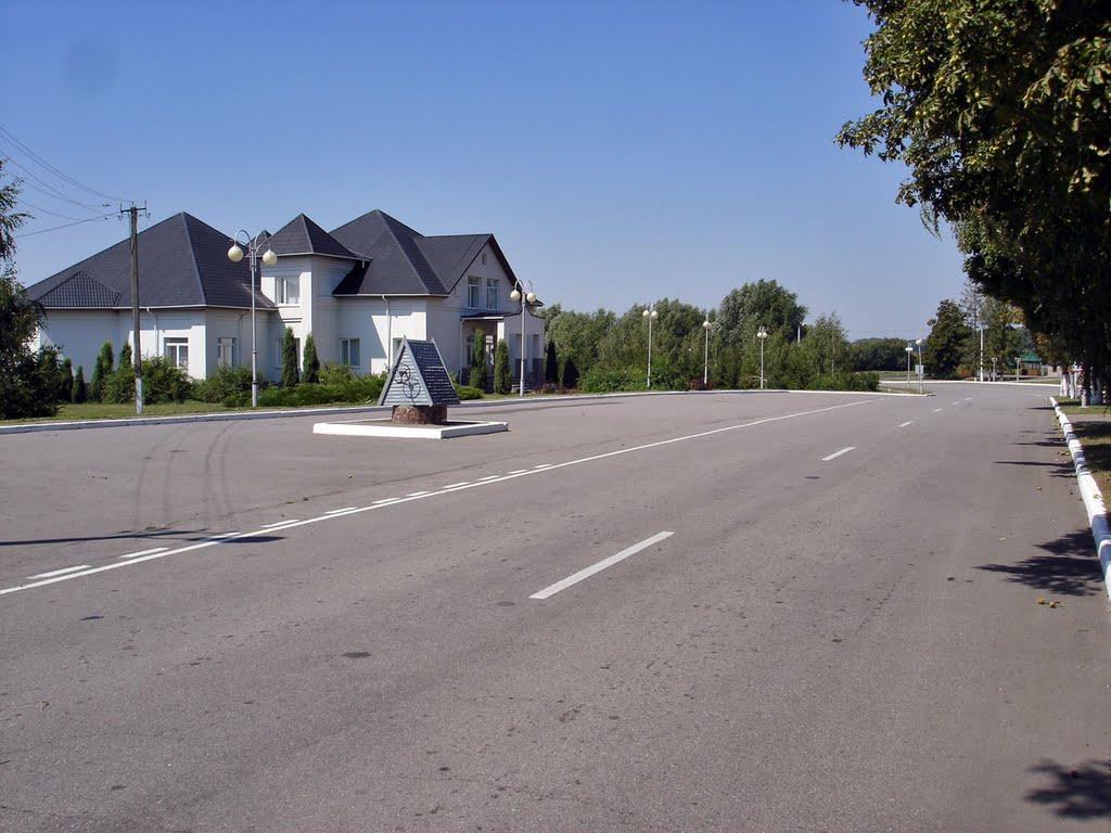 Вінницькі Стави з panoramio.com - Вінницькі Стави