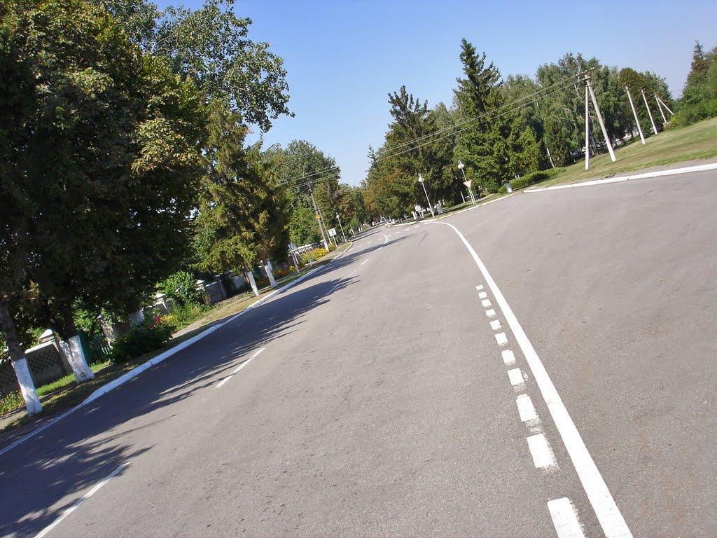 Вінницькі Стави з panoramio.com - Вінницькі Стави