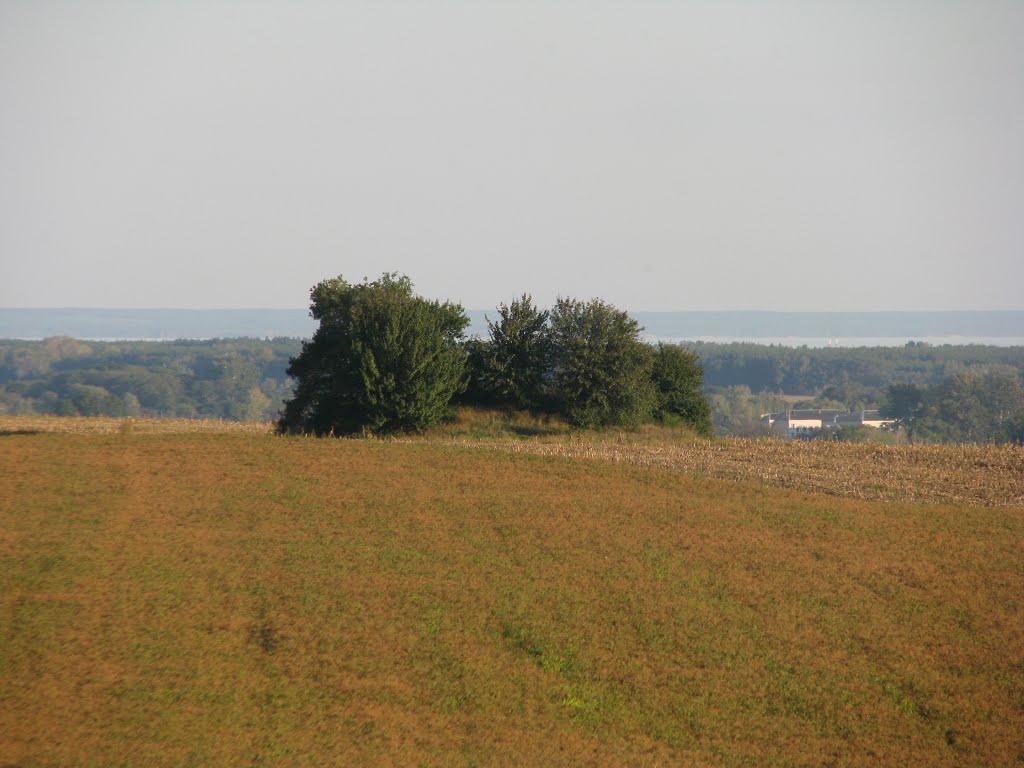 Дівички з panoramio.com - Дівички