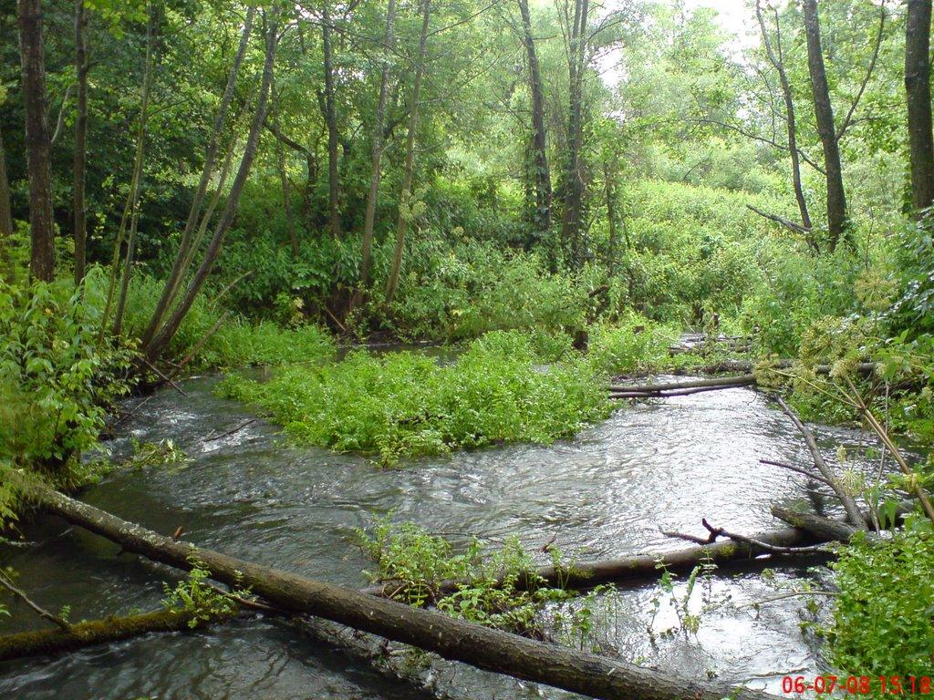 Курдюмівка з panoramio.com - Курдюмівка
