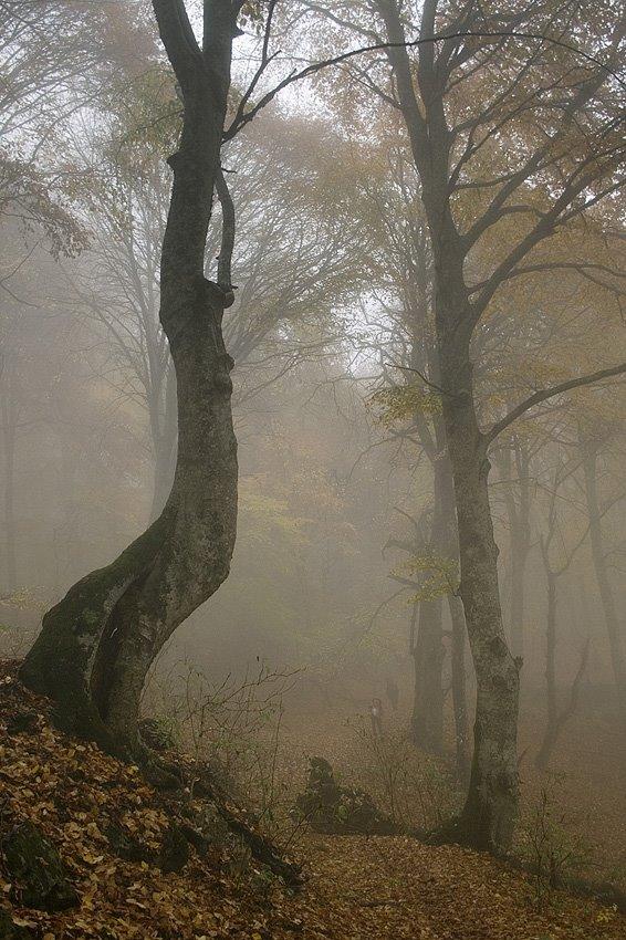 Чайковське з panoramio.com (ч.2) - Чайковське