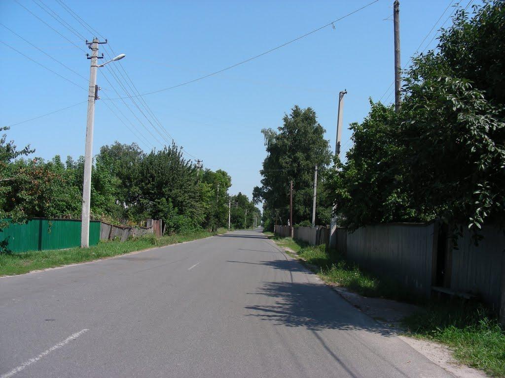 Вертіївка з panoramio.com - Вертіївка