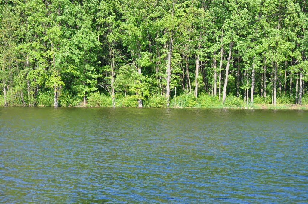 Велика Гомільша з panoramio.com - Велика Гомільша