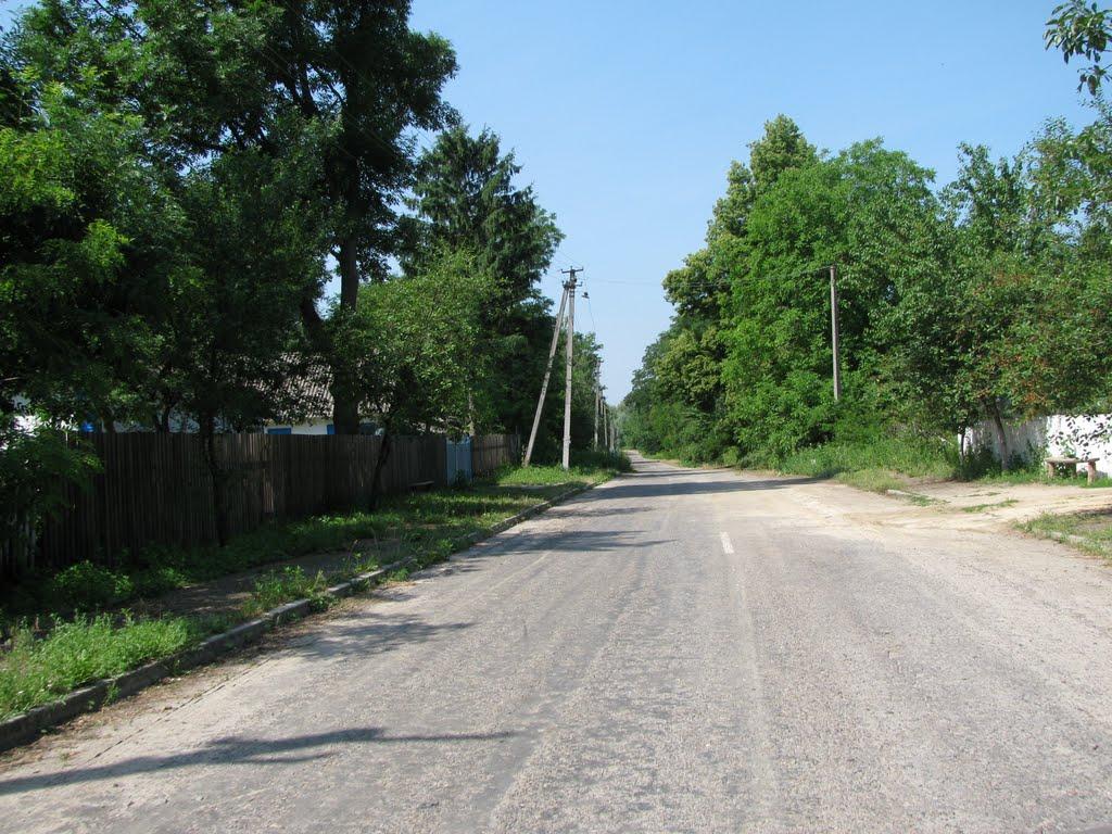 Городище-Косівське з panoramio.com - Городище-Косівське