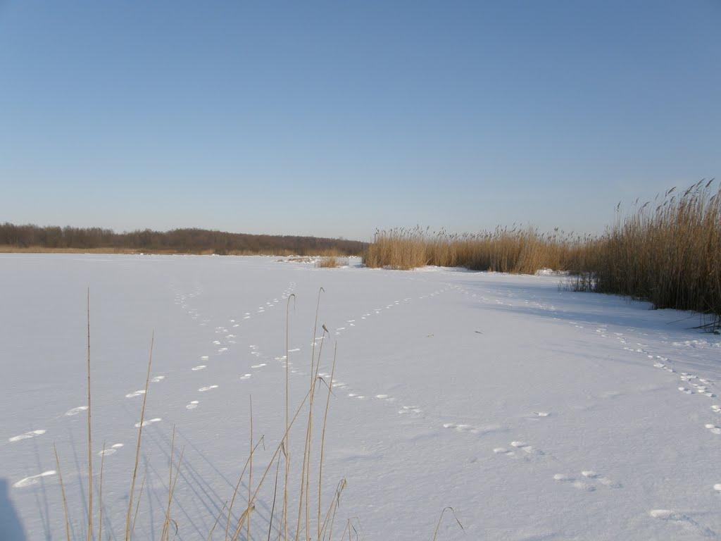 Оржиця з panoramio.com - Оржиця