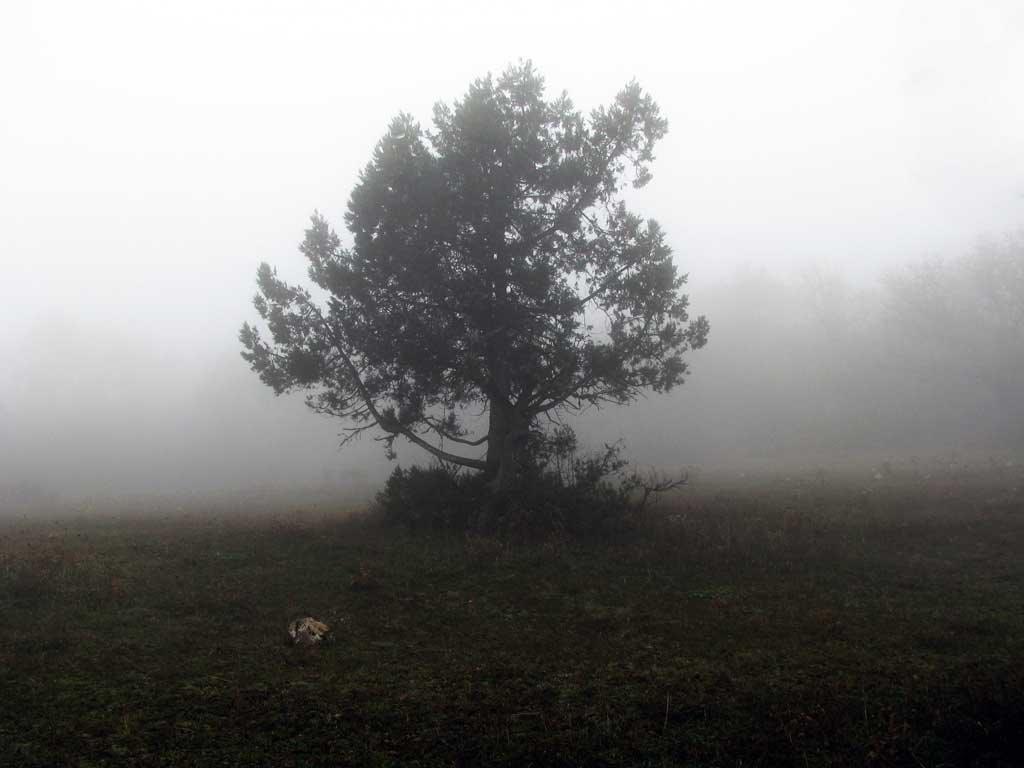Колхозне з panoramio.com - Колхозное