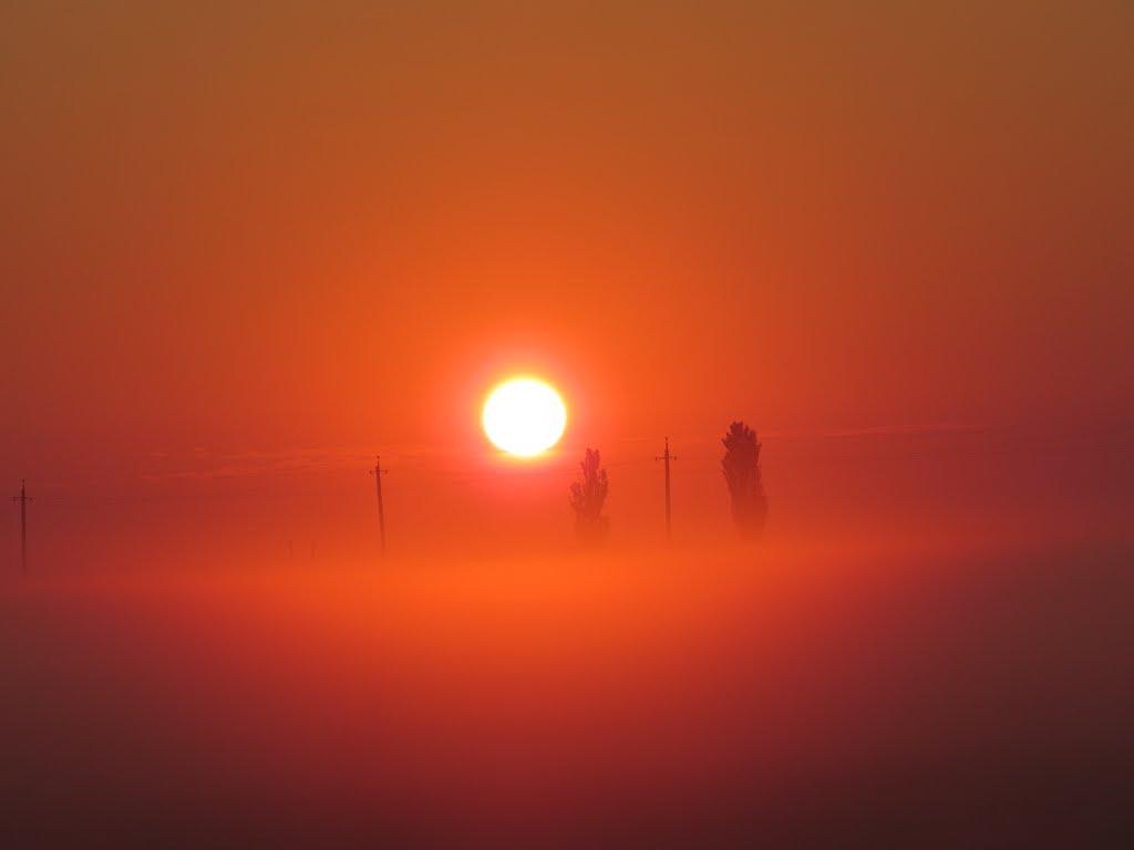 Передмістне з panoramio.com - Предмостное