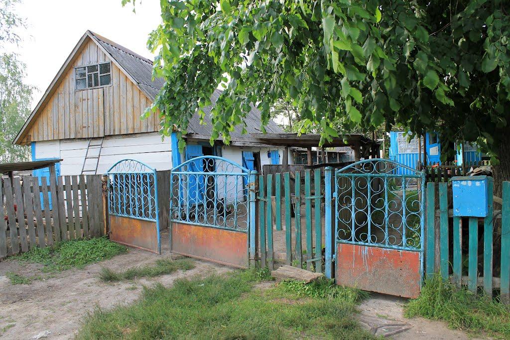 Куліші з panoramio.com - Куліші