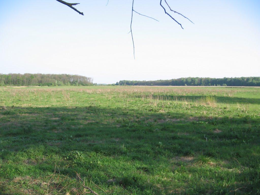 Довге з panoramio.com - Довге