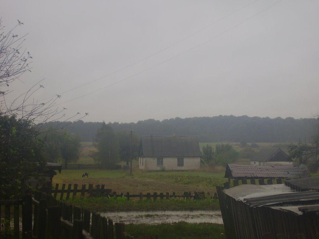 Куліші з panoramio.com - Куліші