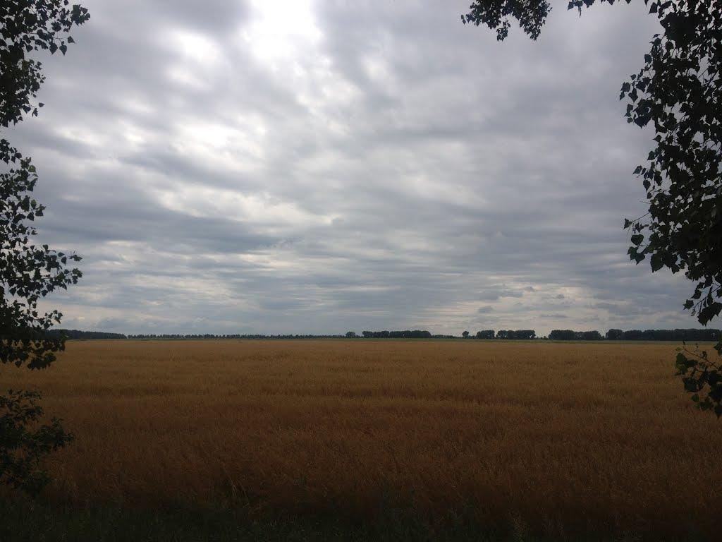 Королівка з panoramio.com - Королевка