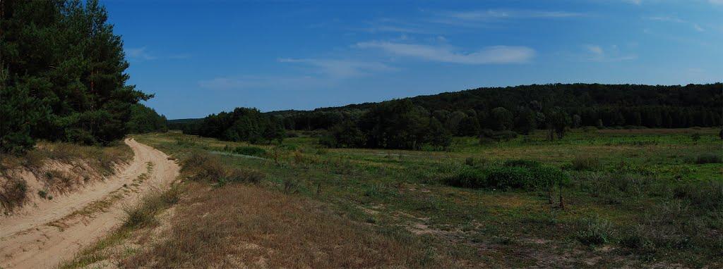 Велика Гомільша з panoramio.com - Велика Гомільша