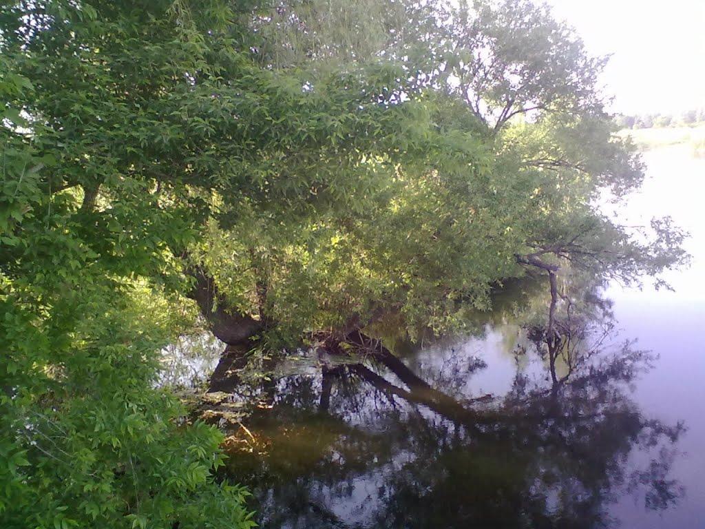 Шостакове з panoramio.com - Шостакове